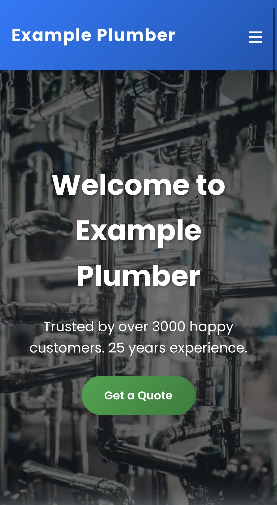 Plumber Website Example